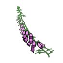 마이산 카페 토박이 이미지