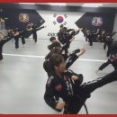 타이거 합기도 | 달서구합기도 타이거합기도킥복싱, 대구 달서구에서 만나는 진정한 마술