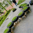 타이어 신 이미지