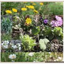 단비농장 이미지