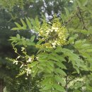 우석초등학교 이미지