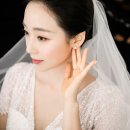 비아잔떼 이미지