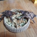 전통복조리연구소 이미지