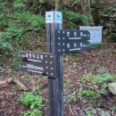 계룡산두꺼비 | [충남 공주]계룡산 갑사코스 등산 주차 및 주의사항