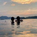 김밥버거 이미지