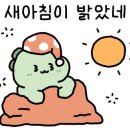 투썸플레이스동해어달해변점 이미지