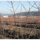 성목목장 이미지