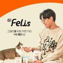 고양이와 함께하는 오렌지 이미지
