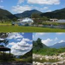 영명농장 이미지