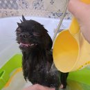 그루머로 이미지