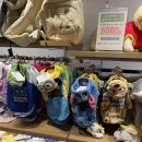 펫 파라다이스(pet paradise) 이미지