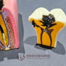 튼튼내이사랑치과의원 이미지