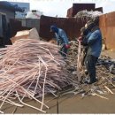 지니자원 이미지