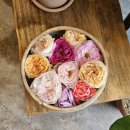 진주 가볼만한 곳(카페/미술작품/꽃)_페레그리노