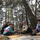 소나무전통차 이미지