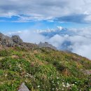 지리산밧데리 이미지