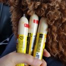 금쪽같은내새끼 동물병원 | 20180323