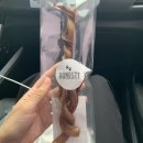 허니스티 펫 베이커리 이미지