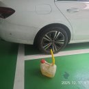 동서카써비스 이미지