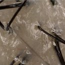 더 아름다운 한의원 이미지