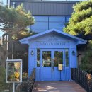 장안37 | 부산 기장 장안숲 므로 애견카페 방문 후기