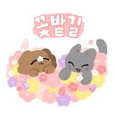 강남 신논현 후즈데어 방탈출 [AYAKO] 아야코 관람 후기🦋