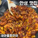 새마을당구장 | 안성 직화 쭈꾸미 맛집 [새마을쭈꾸미] 솔직 후기