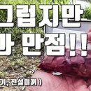 메기낚시 이미지