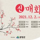 신매 이미지