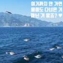 [울릉도 마지막 날] 엉겅퀴해장국부터 복권 도전까지?! 이 맛에 또 가고 싶어짐