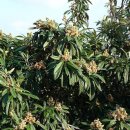 송정섭농장 이미지