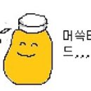 엘엠엔 Daum카페