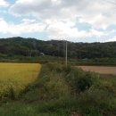 미현리농장 | 포항부동산.포항 기계면 임장.