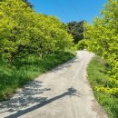 교룡산 둘레길 이미지