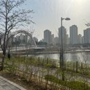 에코중앙로L 이미지