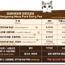 다시김녕 | 제주김녕미로공원 고양이 상점 미로카페 체험 내돈내산 솔직후기