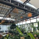 바다에 누워 | 애월 해안도로 뷰 맛집, 누워있는 제주 노을리 카페 힐링 후기