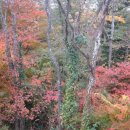 성산에코 이미지