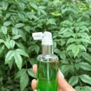 마시모헤어