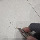 야간) 마음치유 시낭송 | 마루 찍힘 복원 아파트 인테리어 후 흠집 교체 없이 해결한 후기