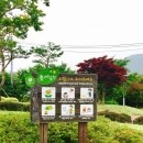경남여행/사천가볼만한곳:: 풍차언덕&amp;대방진굴항까지, 동서공원 데이트코스!!