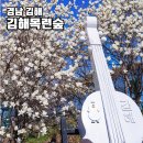 으뜸자동차부분정비업소 | 김해 목련숲 실시간 만개 개화시기 주차장 가는법 포토존