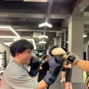 언더독 복싱 이미지