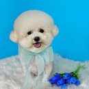 그루아미 이미지