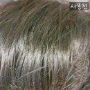 제이팜약국 이미지