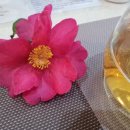 나를 찾아, 인문학 산책 이미지