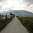 인월약국 이미지