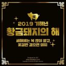 양우내안애에듀퍼스트 이미지