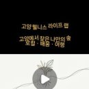 웰니스라이프(wellnesslife)
