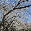 중원동로-2 이미지